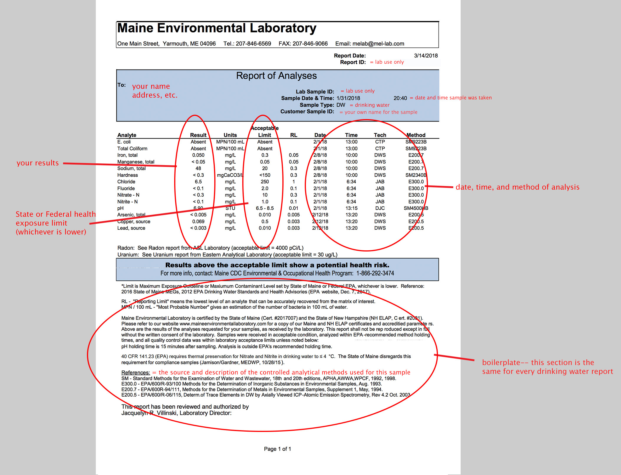 whats in a lab report